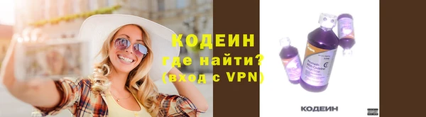 прущий лед Кодинск