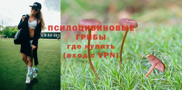 jwh Козловка