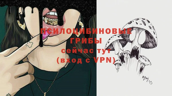 мдма Козельск