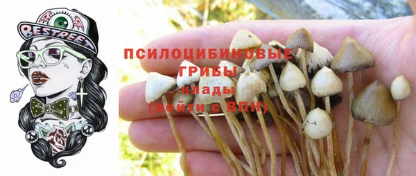 прущий лед Кодинск